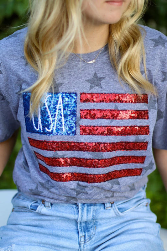 USA Flag Short Sleeve