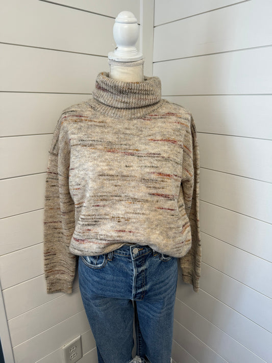 Taupe Multicolor Turtleneck Sweater